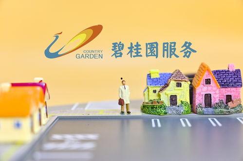 碧桂园物业爆料最新消息,揭秘项目动态与未来规划