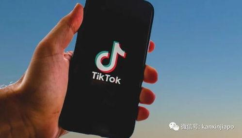 tiktok最新爆料,独家爆料带你探秘短视频巨头背后故事